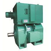 Z series DC motor(001)