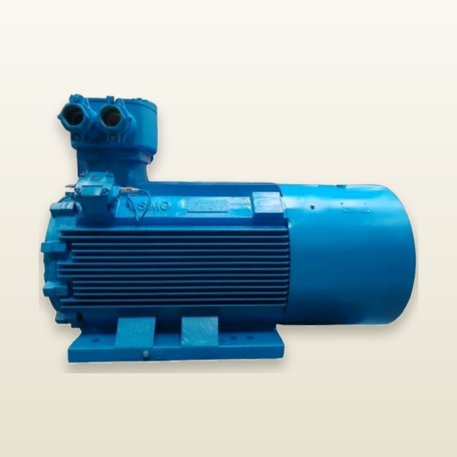 YBBP355L2-4 VVVF Explosion-Proof Motor · 315 kW · IC416