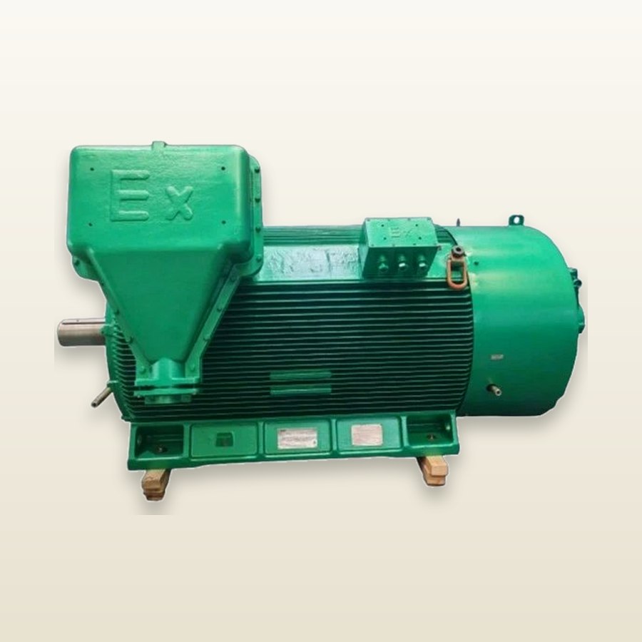 YBBP5604-6 HV Explosion-Proof VVVF Motor · 1,000 kW