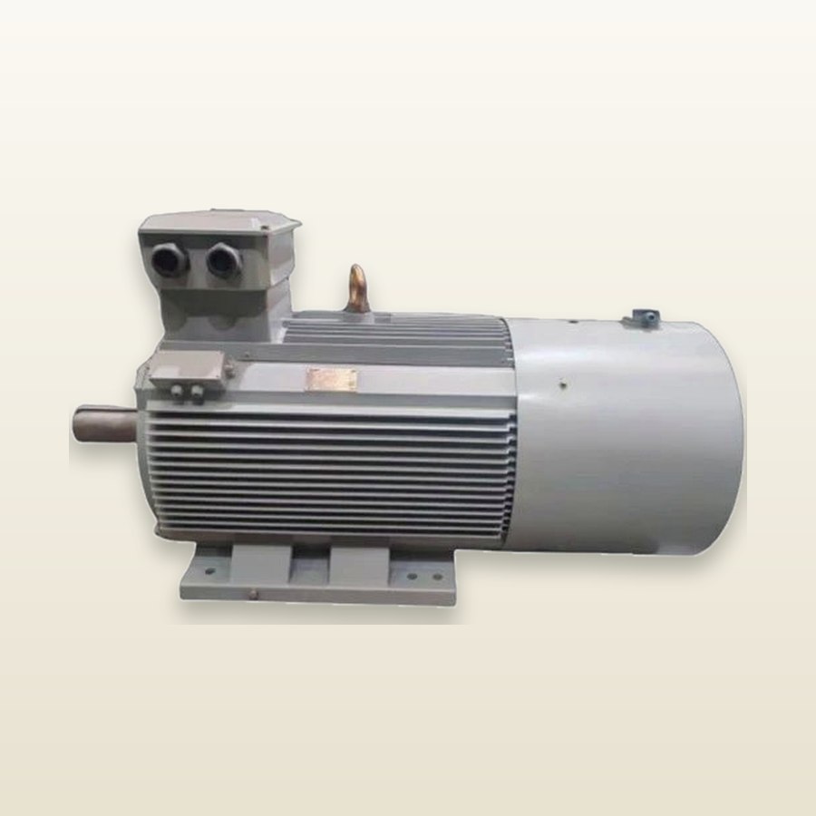 YE5-355M2-10 Three-Phase Asynchronous Motor · 132 kW · V6 Mounting