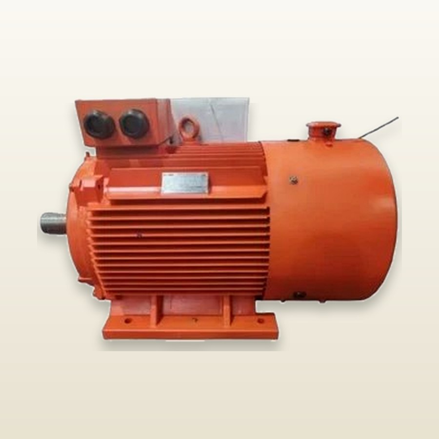 YVF315L-4A VVVF Three-Phase Asynchronous Motor