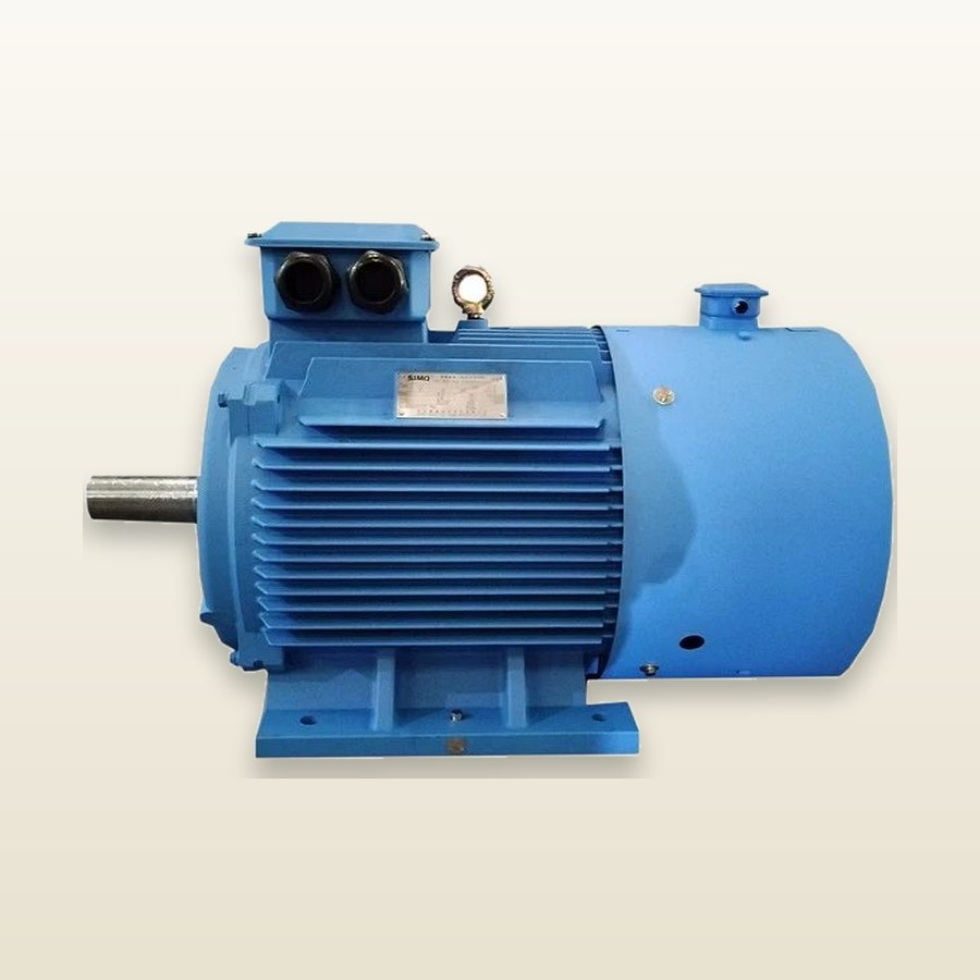 PMAC Electric Motor