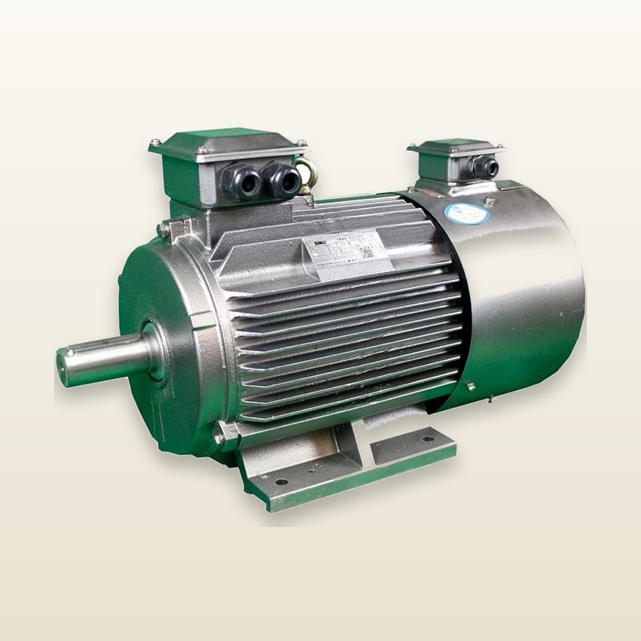 TYP / TCYP HV Permanent-Magnet Synchronous Motor