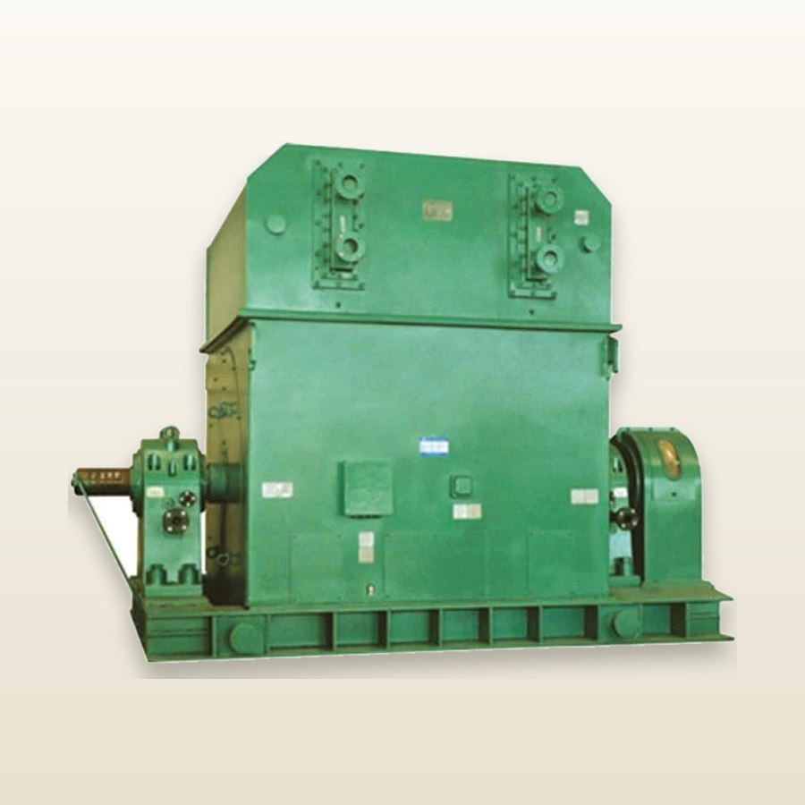 T Series Synchronous Motor