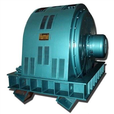 TK Synchronous Motor
