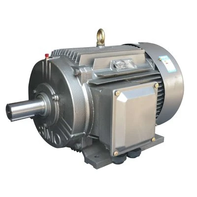 YE2 Series LV Motor