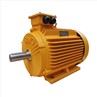 Bearing DE NDE