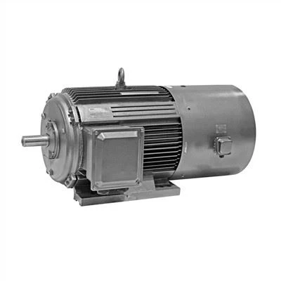 YVFE4 Squirrel Induction Motor