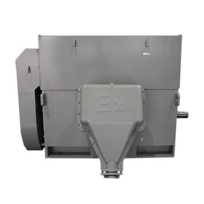 10 KV Electric Motor