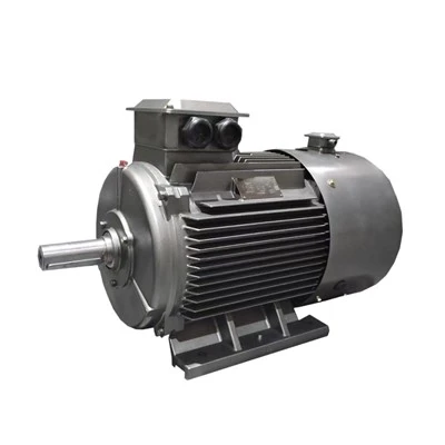 2 Pole 3 Phase Induction Motor