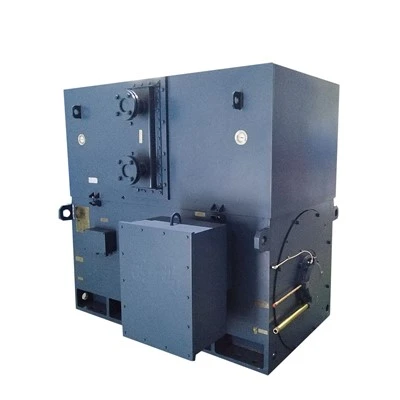High Voltage Induction Motor 1000KW