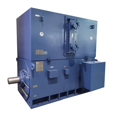 High Voltage Induction Motor 1250KW