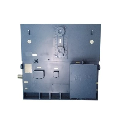 High Voltage Induction Motor