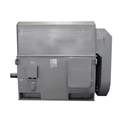 HV Electric Motor
