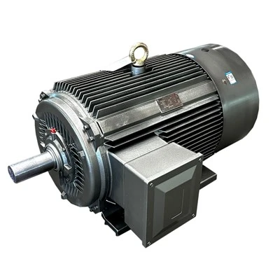 Cage Induction Motor