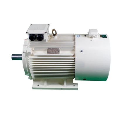 Efficiency Induction Motor