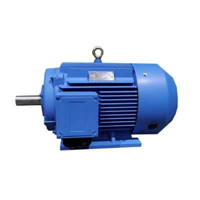 High Efficiency Motor