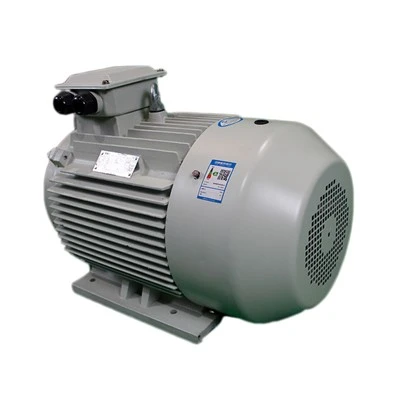 2 Pole Three Phase Motor 250KW