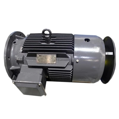 Low Voltage AC Motor 0.55KW