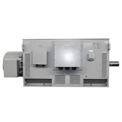 High Voltage AC Motor 8000KW