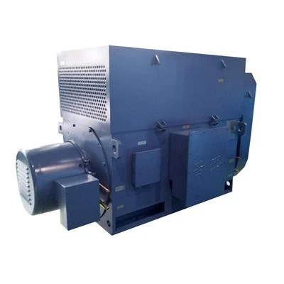 60HZ AIMIN HV Electric Motor