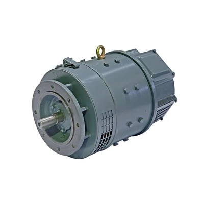 Small Brushed DC Motor