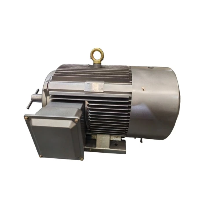 YE5-315S-6 A 3 Phase 6 Pole 50hz Induction Motor 75kw