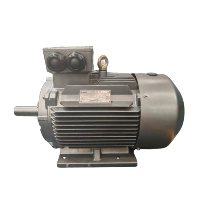 YE4-160M1-2G WF2 11kw 3 Phase Motor Amps 380V 50Hz