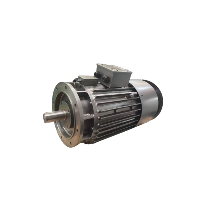 ZDH06-13 Direct Current 13kw Motor 220V Ip54