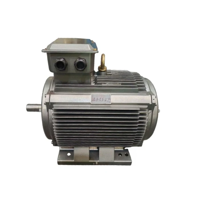 YVF315S-2A Variable-frequency (VVVF) Three-phase Asynchronous 2 Pole AC Motor