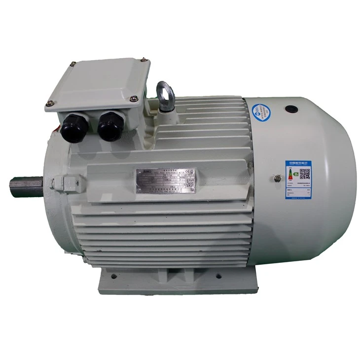2 Pole Permanent Magnet Motor