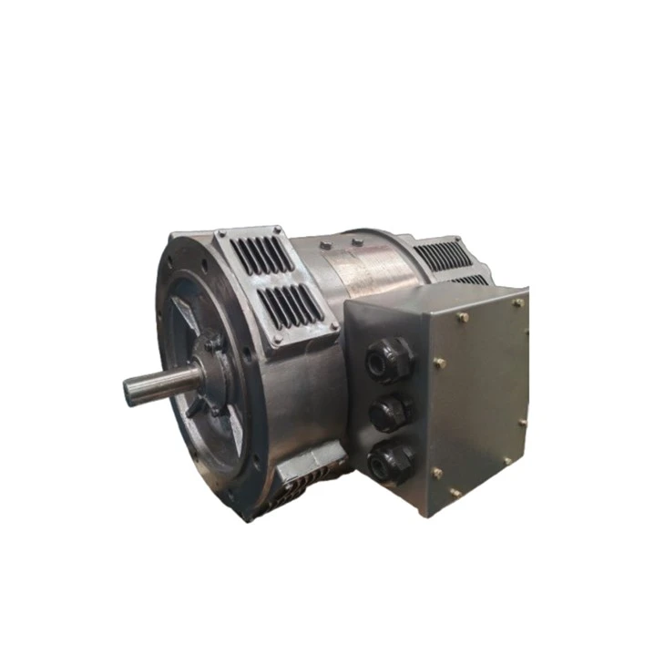 ZDB-71 TS 30 Kw Induction Motor 220V Shunt 3000rpm