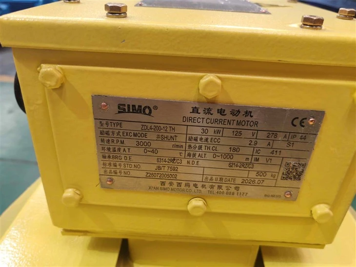 ZDL4-200-12 TH DC 30kw Electric Motor Shunt Excited suppliers