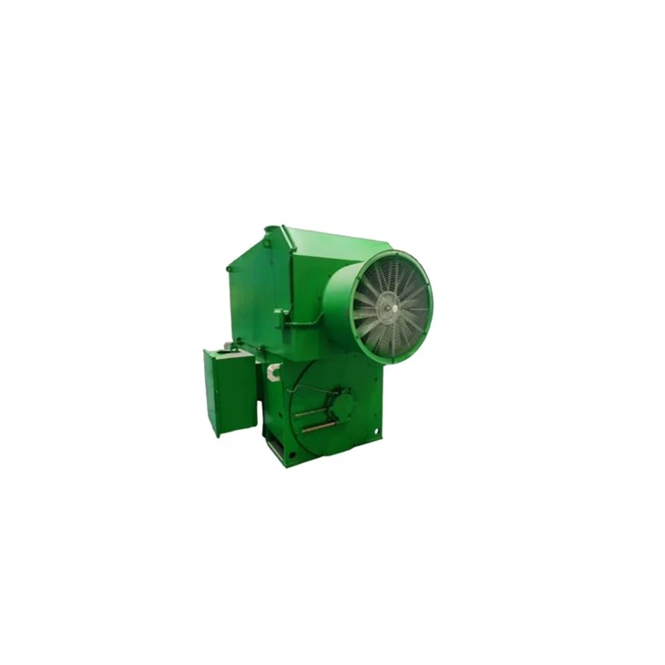 YXVF5004-6W 6 Pole Induction Motor 10kV