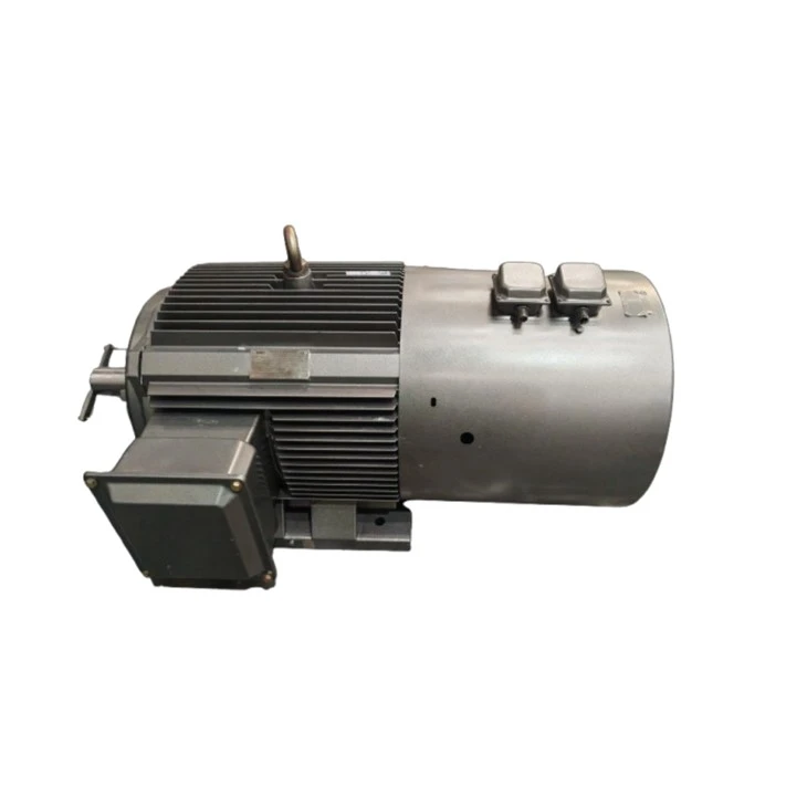 YVFE2-315S-6 VVVF Three-phase Asynchronous 7 5kw Elektromotor 380V