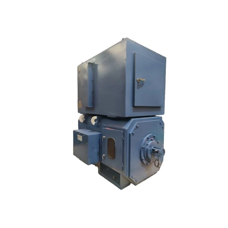 Z500-2A T1 Direct Current 750 Kw Electric Motor 750V