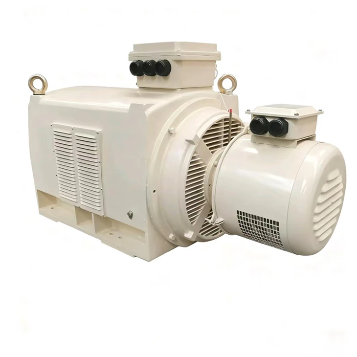 A DC Shunt Motor 250kW factory