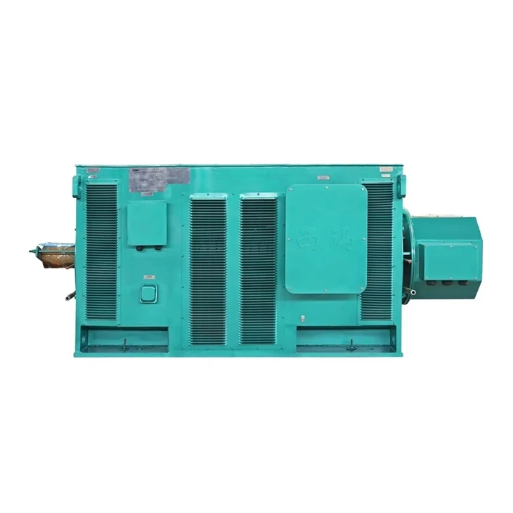 355kW HV Brushless AC Induction Motor