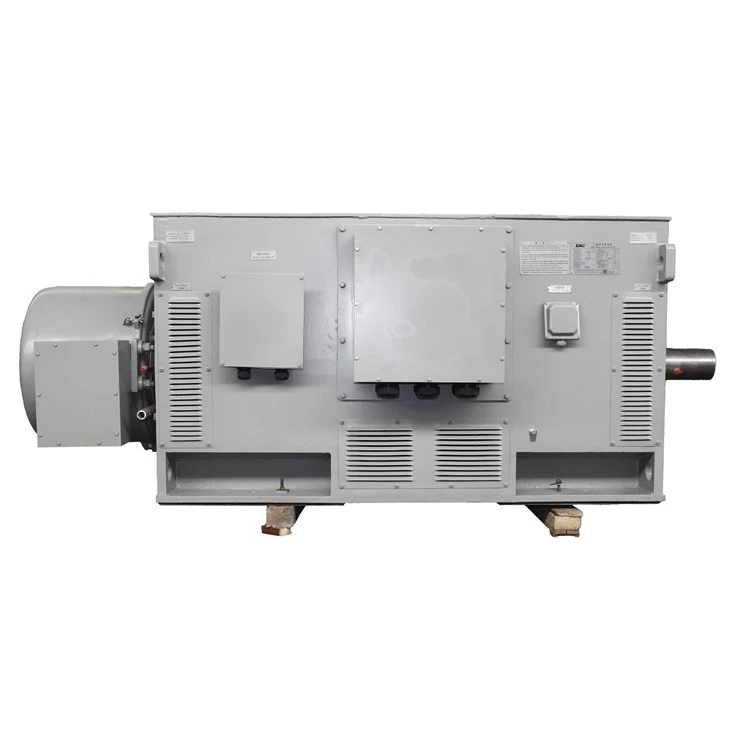 HV AC Brushless Asynchronous Induction Motors factory