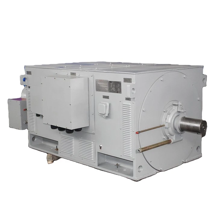 HV AC Brushless Asynchronous Induction Motors