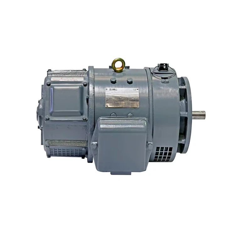DC 0.8kW 110V Generator Motor