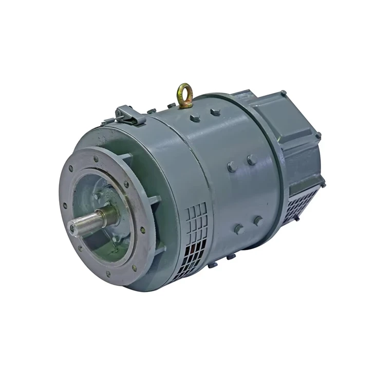 DC 0.8kW 110V Generator Motor suppliers