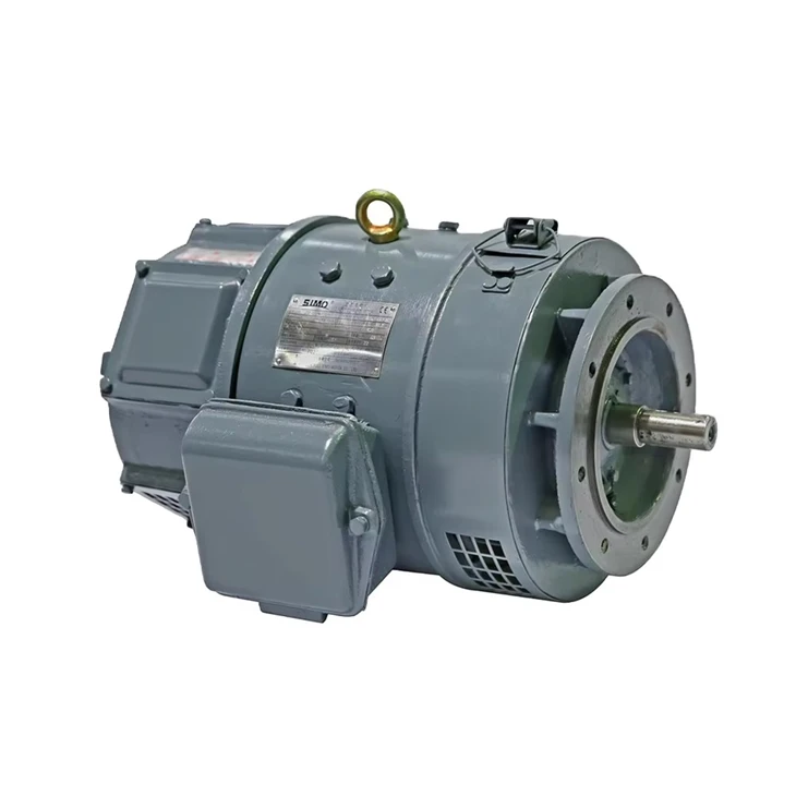 DC 0.8kW 110V Generator Motor factory
