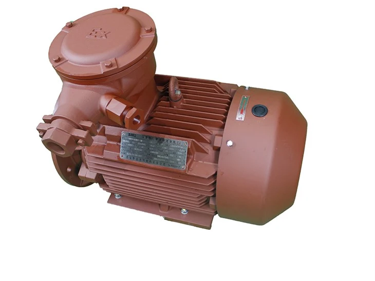 EX Rated Motor