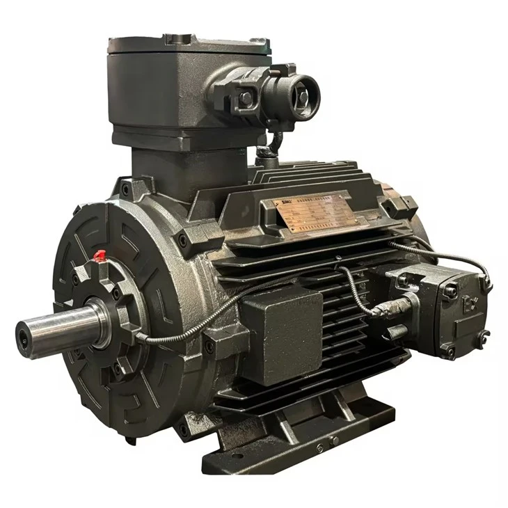 Explosion Proof Motor Enclosure