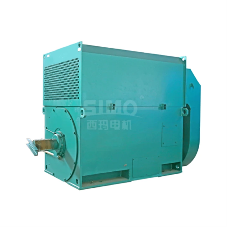 YRKK710-4 High Voltage Heavy Load Motor