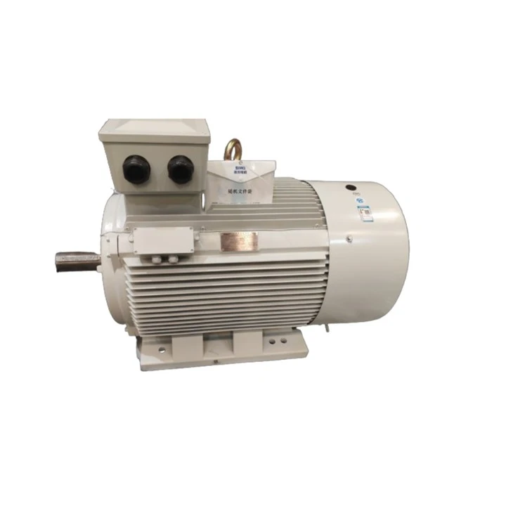 YE5-315L1-6 F2 Three-phase Asynchronous IE 5 Motor 110kw 380V