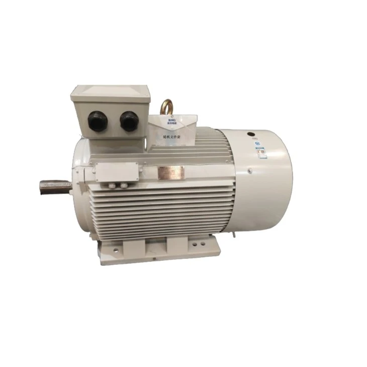 YE5-315L1-6 F2 Three-phase Asynchronous IE 5 Motor 110kw 380V suppliers