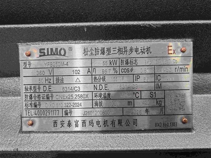 YFB250M-4 Flameproof Three-phase Asynchronous Ip 65 Motor 55kW factory