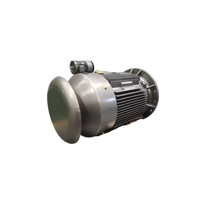 YFB250M-4 Flameproof Three-phase Asynchronous Ip 65 Motor 55kW